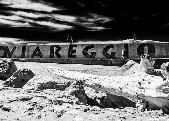 Guest house Sol&mare Viareggio